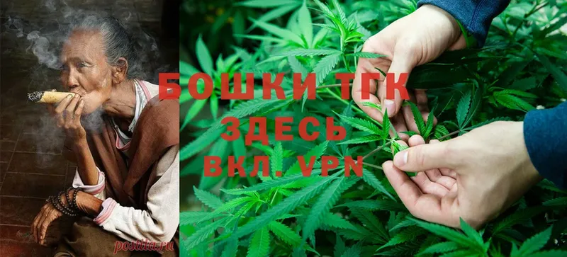 продажа наркотиков  Кострома  Бошки Шишки THC 21% 